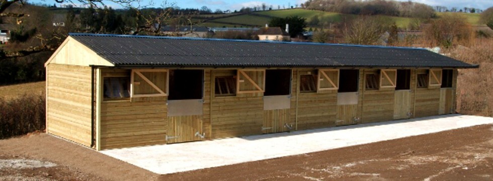 Five horse stables made from timber.